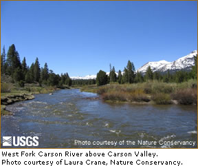 West Fork Carson River