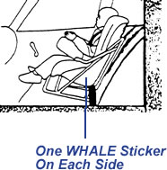 illustration shows proper placement of WHALE sticker on safety seat