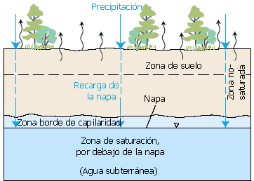 Diagrama que muestra como el agua de precipitación se filtra en el suelo saturando la napa. 
