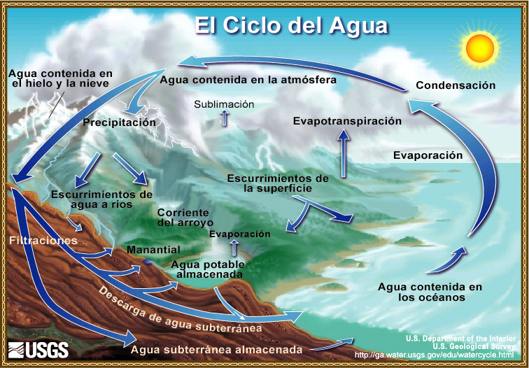El ciclo del agua: de la página de Internet: Encuesta Geológica de los Estados Unidos - Ciencia del Agua para Escuelas en Español. 