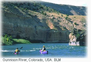 Photo of the Gunnison RIver, Colorado, USA, courtesy of the Bureau of Land Managment. 