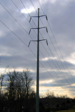 photo of power lines and poles