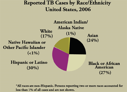 Reported TB Cases by Race/Ethnicity, United States, 2006. 
