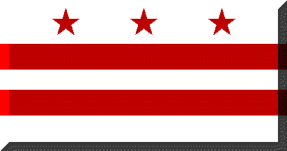 Washington, DC Flag