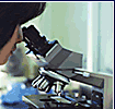 Picture of female looking into microscope