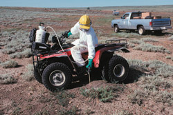Spraying insecticide in prairie-dog colony (courtesy USFWS)