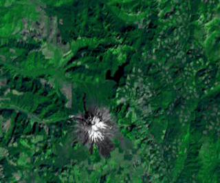Looking at Landsat images of Mt. St. Helens, Looking at the regrowth after the disaster.