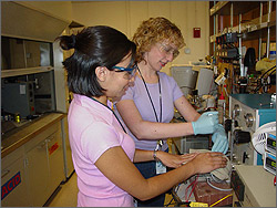 Photo of teachers conducting renewable energy research as part of the Laboratory Science Teacher Professional Development (LSTPD) Program.