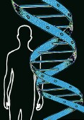 Las noticias de HealthDay imaginan para el artículo titulado: Los genes incrementan el riesgo de artritis reumatoide y lupus