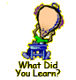 What Did You Learn