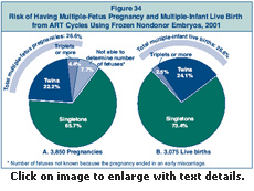 Figure 34: Risk of Having Multiple-Fetus Pregnancy and Multiple-Infant Live Birth from ART Cycles Using Frozen Nondonor Embryos, 2001.