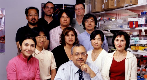 Click to see enlarged photo of Molecular Inflammation Section group photo, and name of each individual.
