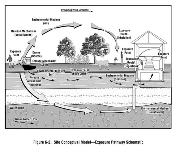 Figure 6-2. Site Conceptual Model - Exposure Pathway Schematic