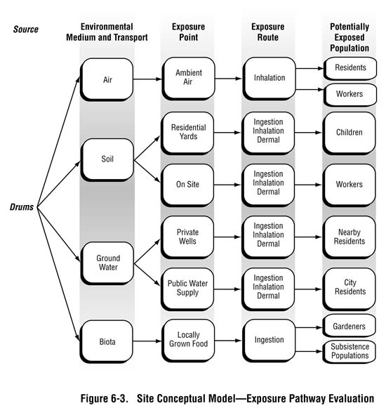 Figure 6-3. Site Conceptual Model - Exposure Pathway Evaluation