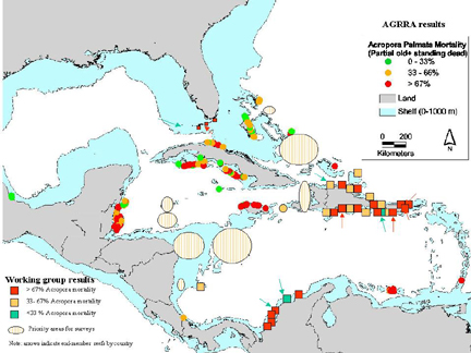 Distribution of Acopora in the Caribbean