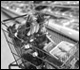 Raw meat and poultry bagged and kept separate from produce in shopping cart.