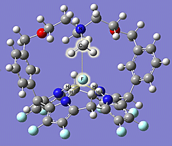 computer modeling rendition of the proposed carbon-fluorine bond-breaking macrocycle