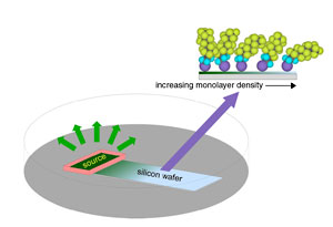 schematic drawing of monolayer self-assembly process