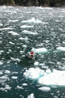 photo of glacier or iceberg