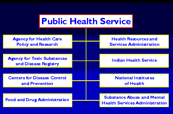 public health service organization chart