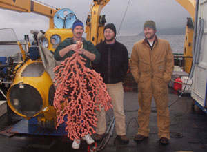 This large bubblegum coral was found detached from the seafloor in Adak Strait (Aleutian Islands) using the Delta submersible