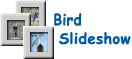 Bird Slideshow