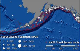 Distribution of juvenile sablefish in the 1990s as sampled by the trawl survey