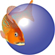 FishBase HomePage