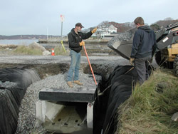 Eastern Point Salt Marsh Restoration (MA).