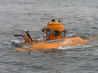 Manned submersible Delta