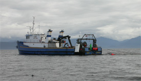 Surface trawling for juvenile salmon during a cooperative ADF&G and NOAA research cruise on the R/V MEDEIA