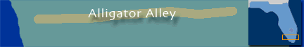Map of Alligator Alley