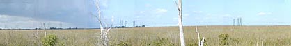 panoramic photo of Alligator Alley