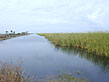 photo of the flooded marshes along WCA3