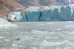 photo of glacier or iceberg