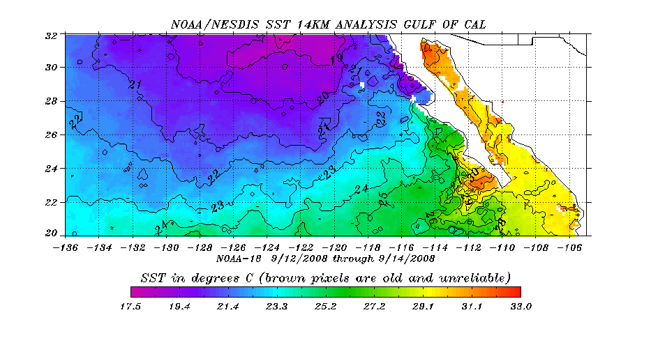 Latest satellite sea surface temperatures of Gulf of California