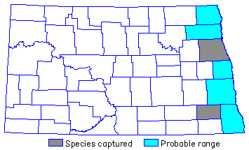 species distribution map