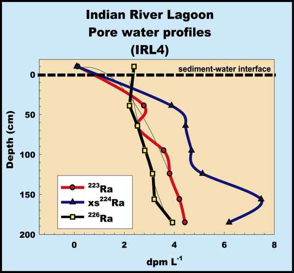 Figure 4. Interstitial radium activities at Station IRL 4, upper Indian River Lagoon. 