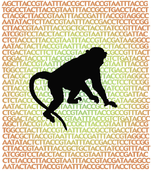 ATCG's Image with Rhesus Macaque