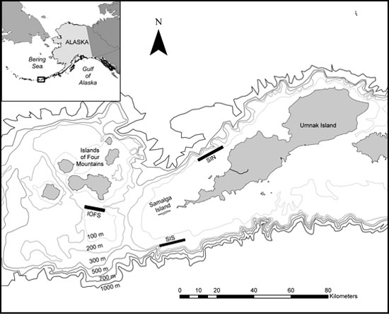 Map showing the area of field work