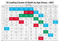example leading causes chart