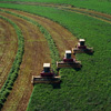 Agribusiness photo