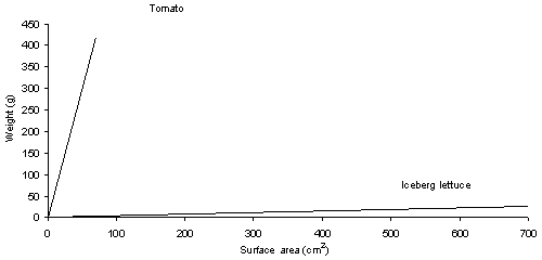Figure III-1.
Relationship of weight versus surface area of tomato fruit and iceberg lettuce leaf.