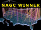 Thumbnail for NSF and the Birth of the Internet and NAGC Winner