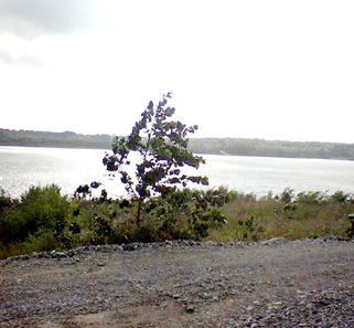 Photograph: Dirt path along river.