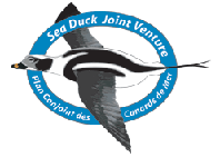 Sea Duck Joint Venture