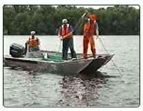 paddlefish netting