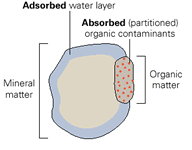 absorption diagram