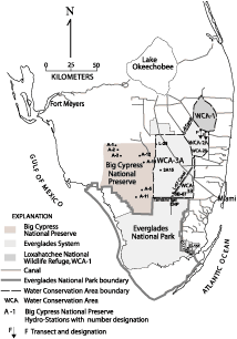 map of south Florida showing study area and sampling sites