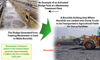 Biosolids are the sludge generated by the treatment of sewage at wastewater treatment plants (WWTPs). WWTPs produce a variety of biosolids products for agricultural, landscape, and home use. Depicted in the diagram is an activated sludge tank at a wastewater treatment plant (upper left) and a holding area for biosolids (lower right). (The two photos are not from the same facility.)